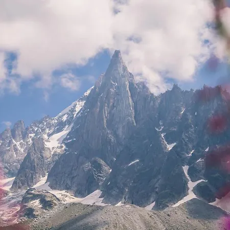 Les Des Aiguilles